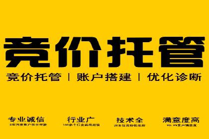 百度竞价代理操作手册：成功案例分析